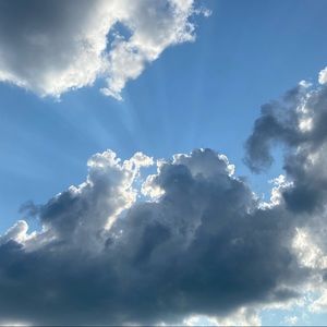 Meet your Posher, Priscilla